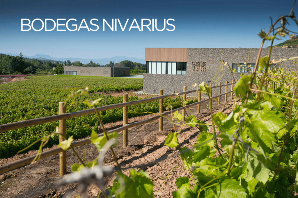 Bodegas Nivarius, la frescura y longevidad del vino blanco